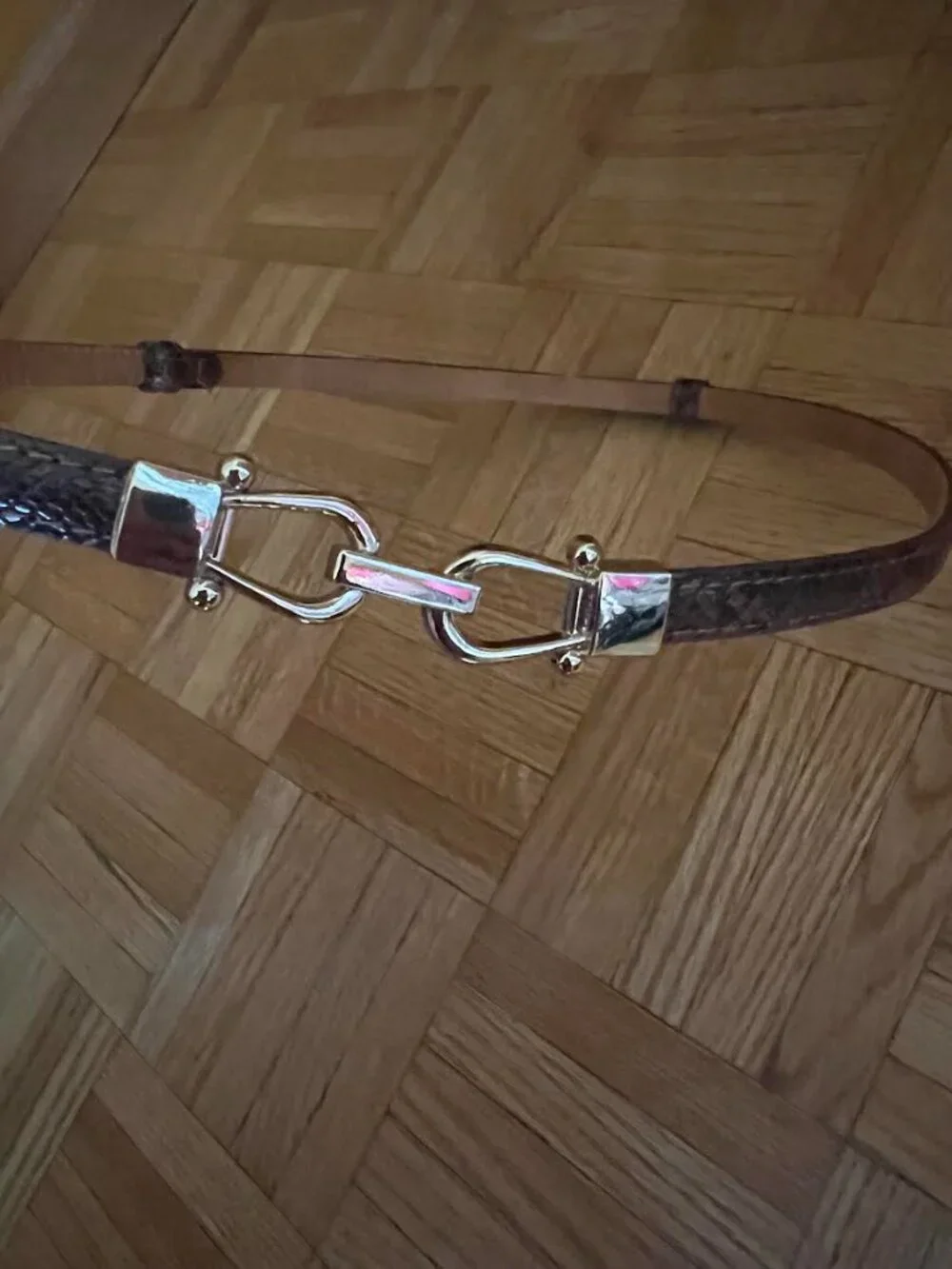 Brown Gold Adjustable Belt